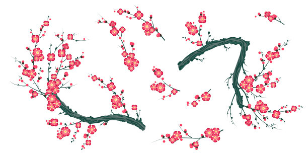 一组盛开的梅花枝图片下载