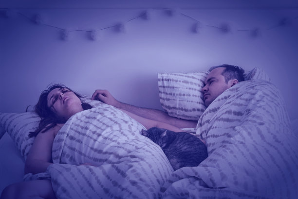 白色的床和一对夫妇与一只猫睡觉。家人和宠物一起睡觉图片下载