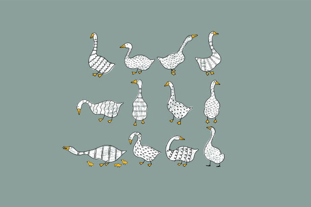 一组手绘的鹅。图片下载