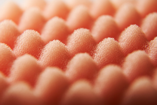 清洁海绵图片下载