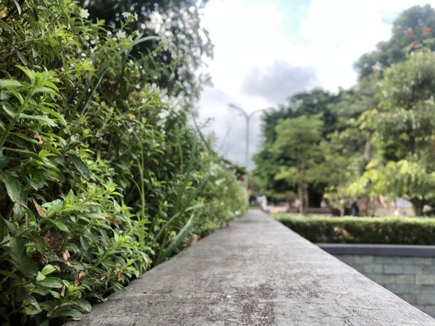 公园里的街道图片下载