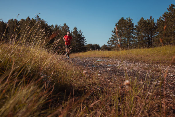早上在田野里慢跑图片下载