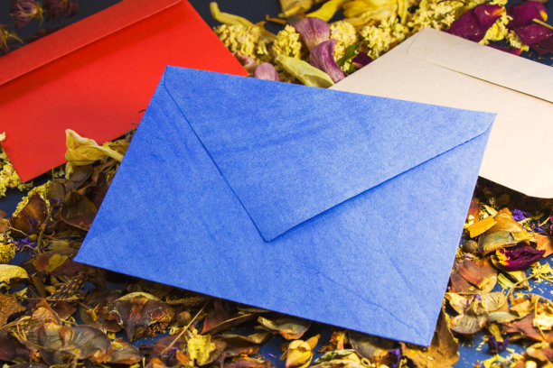 信封和干花和植物，文字和信件的空白，浪漫的背景图片下载