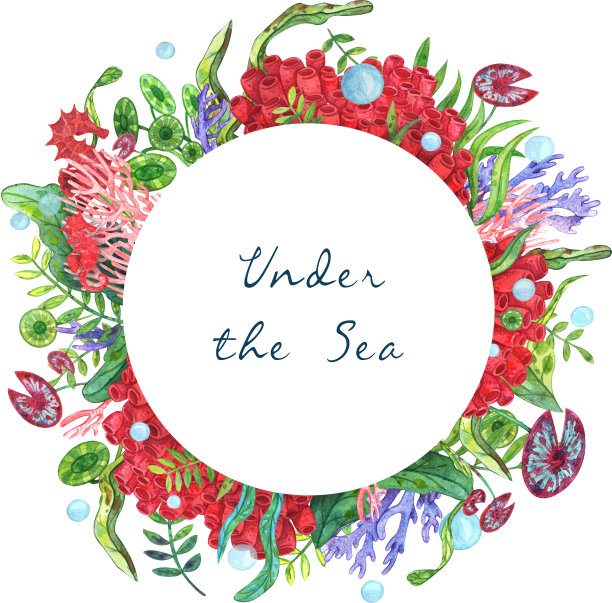 水彩画五彩斑斓的水下生活圈。由水下绿色和蓝色的海藻、红色、粉色和紫色的珊瑚、海马和气泡、黄色的鱼、红色的海马和星星组成图片下载