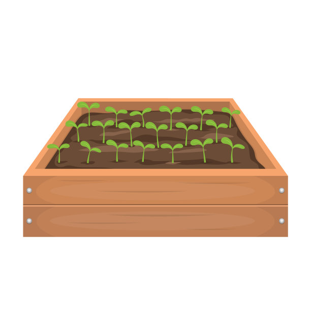 小树苗装在木箱里图片下载