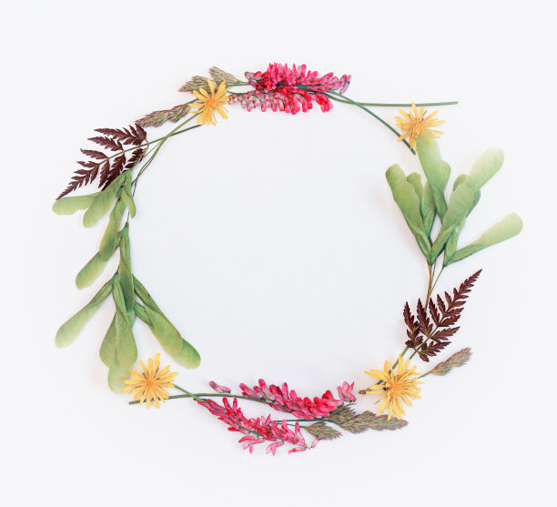 夏天的框架与野花。放置复制品。前视图。图片下载