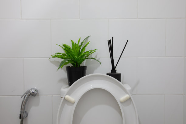 浴室抽水马桶的正面和特写照片，小盆植物和香，东方极简风格，给人一种美丽、干净、简单的感觉。图片下载