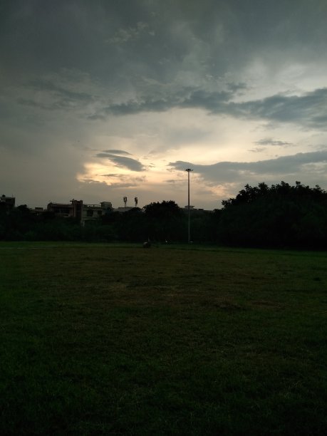 一幅美丽的花园雨后的画面图片下载