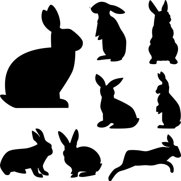 黑兔的剪影从白色中分离出来图片下载