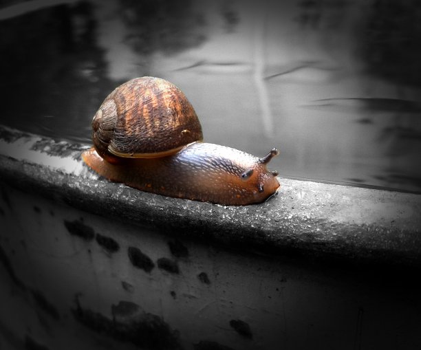 一个缓慢的平衡……图片下载