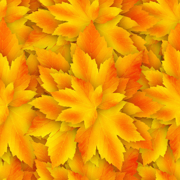 秋天无缝模式。落叶为背景图片下载