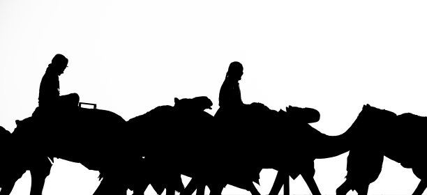 骑骆驼的赛手黑色轮廓图片下载