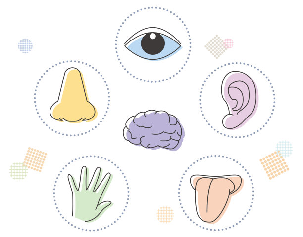 五感图像用于医学和教育图片下载