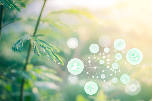 替代医学与未来的ai技术概念。天然草药。有机药品，智能虚拟屏幕界面上模糊柔和的自然背景。可持续能源图片下载