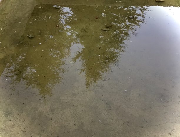 人物历史图片下载