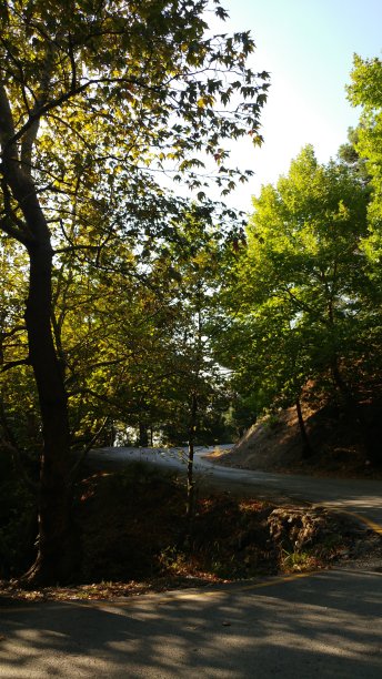 山林之路图片下载