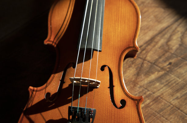 近距离观看小提琴弦和桥图片下载
