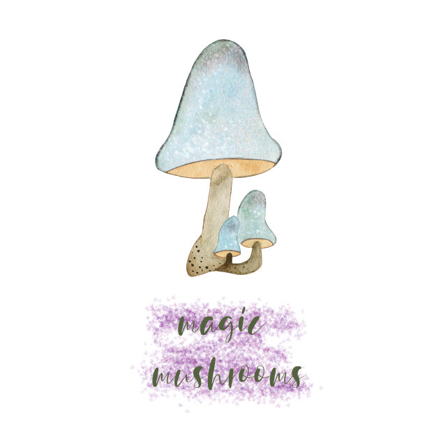 令人难以置信的秋季蘑菇水彩画。手绘水彩，适用于各种类型的设计和印刷。图片下载