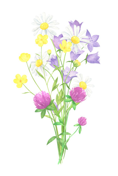 水彩野花花束图片下载
