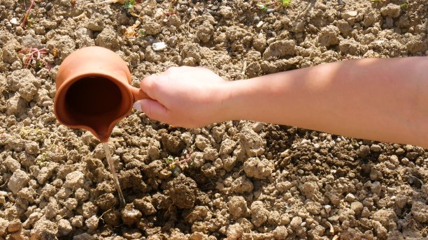 水用花盆浇在农场的干地上。图片下载