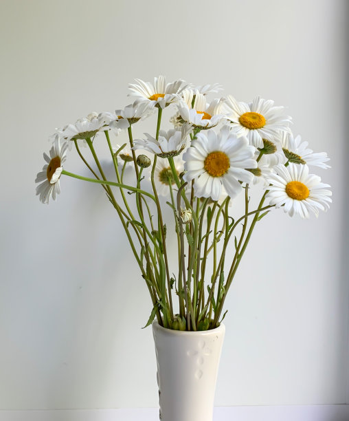 白底花瓶里的一束雏菊。夏天,野花。图片下载