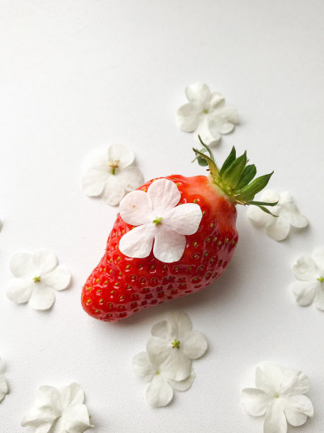 草莓和白花图片下载