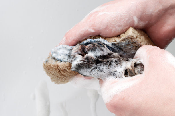 一只狗的爪子被女性用黄色泡沫海绵清洗的特写。动物保健,美容图片下载