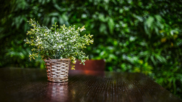 咖啡馆里的一张木桌-以绿叶为背景-一堵树叶墙-图片下载