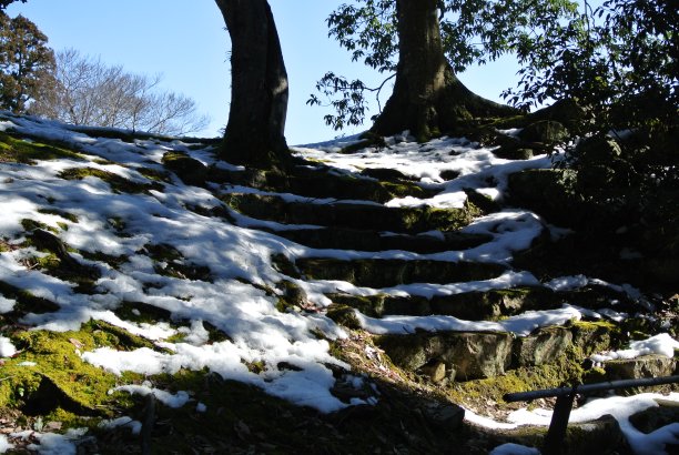 日本花园在阳光充足的冬天图片下载