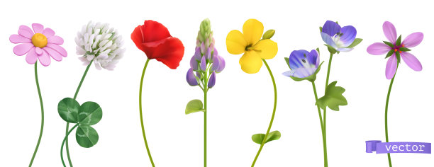 野花3d逼真的图标集图片下载