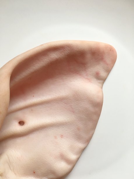 猪的耳朵图片下载