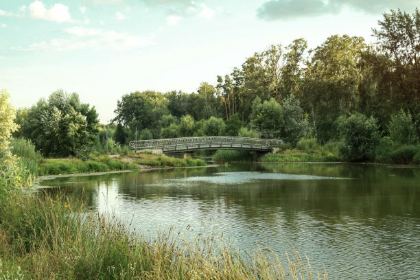 桥在公园里，有美丽的绿树。城市广场的景观。库存图片背景图片下载