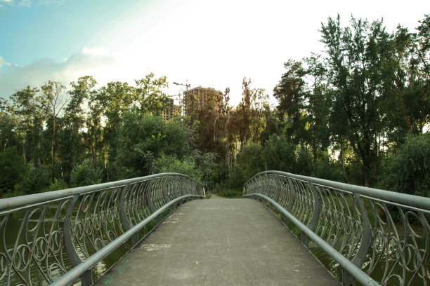 桥在公园里，有美丽的绿树。城市广场的景观。库存图片背景图片下载