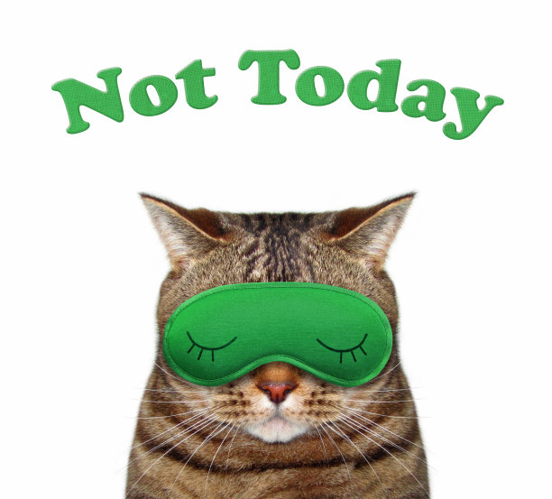 猫戴上绿色睡眠面具图片下载