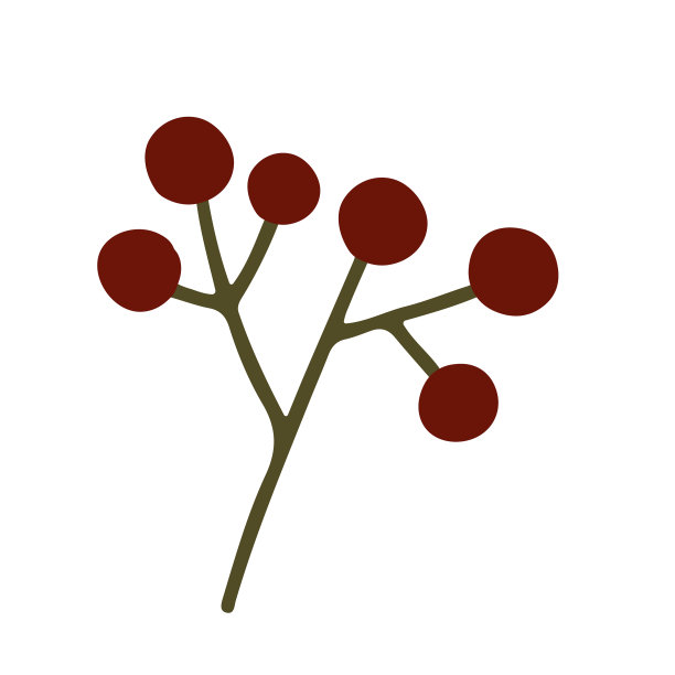 单一设计元素-带有浆果的分支。图片下载