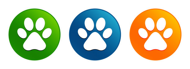 动物爪印图标液体设计圆形按钮集插图图片下载