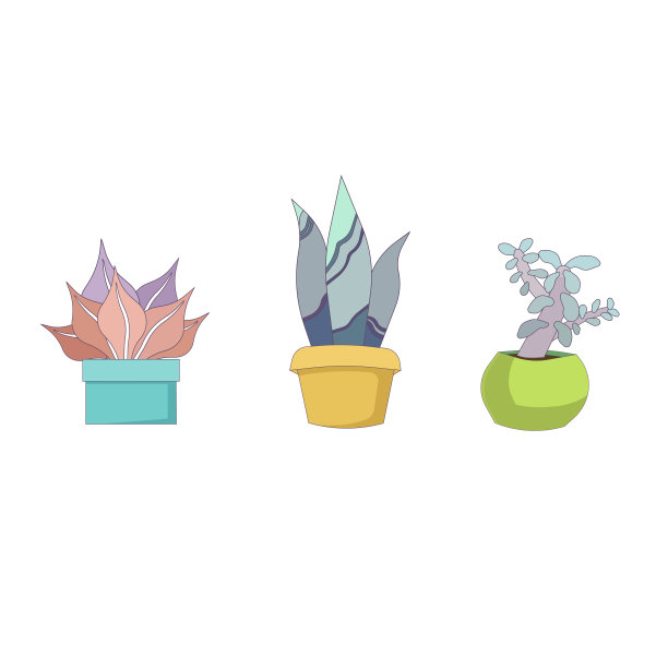 一套抽象的室内植物Croton, Sansevieria和Crassula在白色孤立的背景，矢量股票插图在卡通设计风格，窗口园艺，自然和室内植物的概念。图片下载