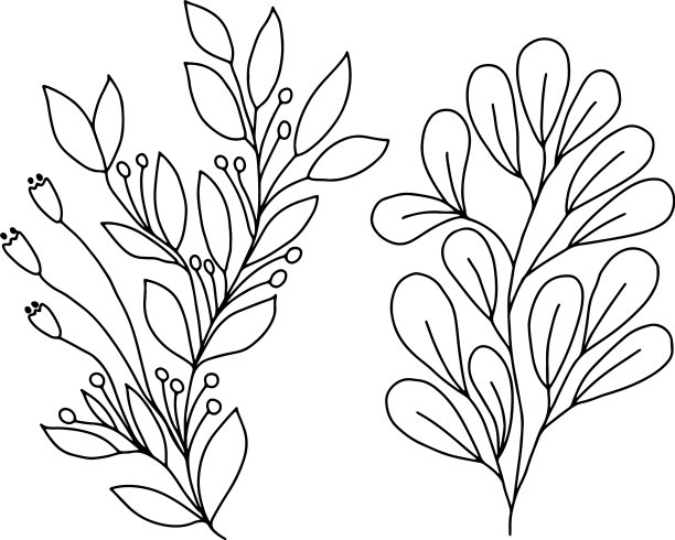 在白色背景上画一些简单的花图片下载