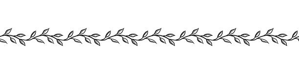 花卉无缝的边界图片下载