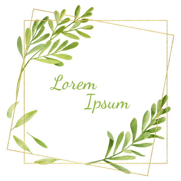 草本极简水彩框架。手绘茶树的叶子，用金线把树枝艺术隔离在白色的背景上。绿叶卡片模板的邀请，婚礼，海报图片下载