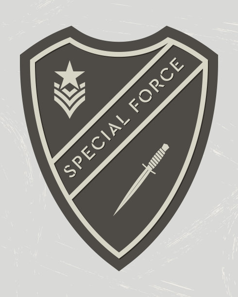 军事标志。军队的补丁。军用风格夹克，衬衫和t恤的设计元素。特种部队标志图片下载