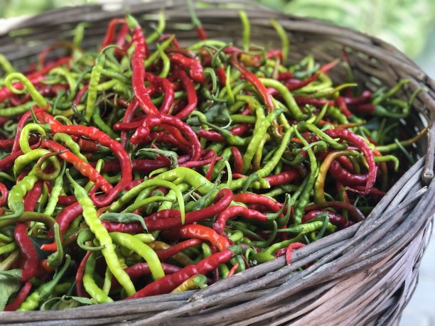 有机集市图片下载