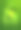热带叶子上的旗帜迪斯科俱乐部矢量插图上的紫色背景。海报的DJ或夜总会与霓虹灯框架下的照片图片下载