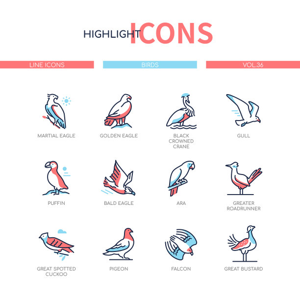 鸟种-现代线条设计风格图标集图片下载