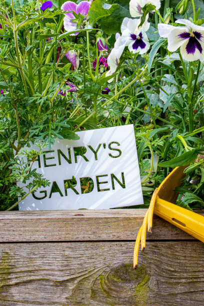 在高床上建造的儿童花园图片下载