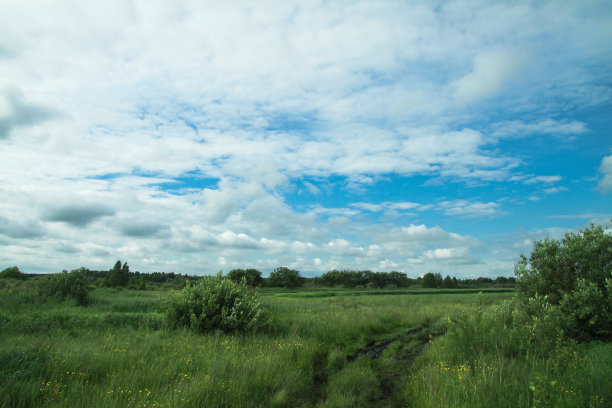 美丽的夏季风景自然乡村。绿草如茵，绿树成荫。设计素材照片图片下载
