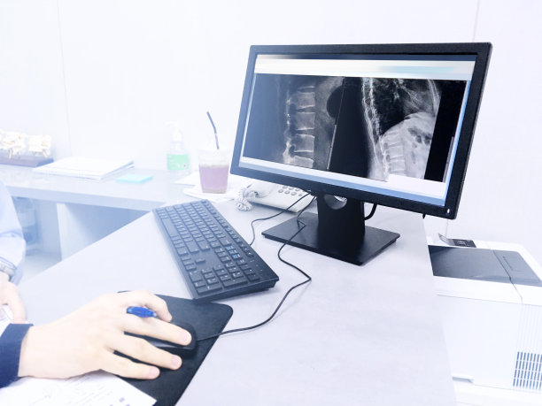 下脊柱L1图片下载