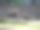 保护区大围栏附近的野牛。野生动物在野外是力量和稳定的象征。库存图片背景图片下载