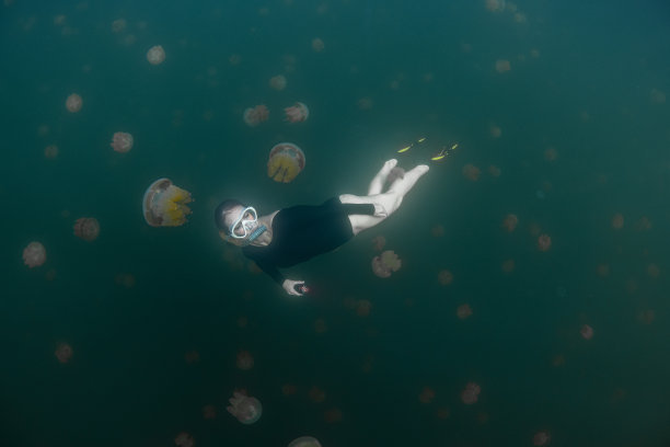 水母湖-帕劳-密克罗尼西亚图片下载