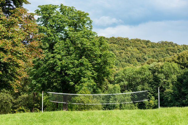 大自然中的排球网。树林里的排球场图片下载